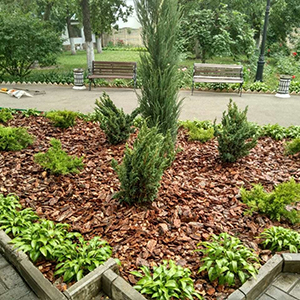 Хвойная мульча в Пскове купить - оперативная доставка по всей России